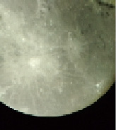 filimon-6.tif