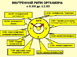 liach-3.tif