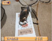 zain-4.tif