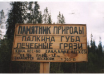 moroz-4.tif