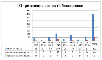 moroz-5.tif