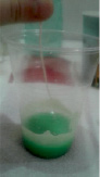pop4.tif