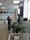 vdov15.tif