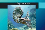 vdov16.tif
