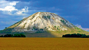 vdov1.tif