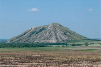 vdov7.tif