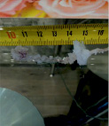 blizn11.tif