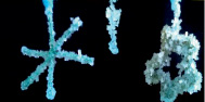 blizn8.tif