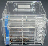 deg2.tif