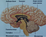 volk3.tif
