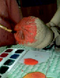 bogk19.tif