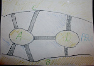 borov1.tif