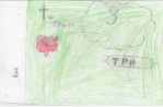 sher-21.tif