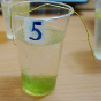 Pleve-40.tif