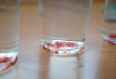 Pleve-45.tif