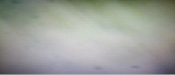 chrio-3.tif