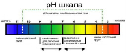 zirk-21.tif