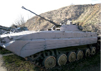 novik9.tif