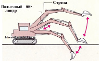 sokol3.tif