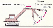 sokol4.tif