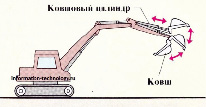 sokol5.tif