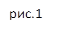 рис.1