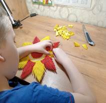 IMG_20241122_164446.jpg